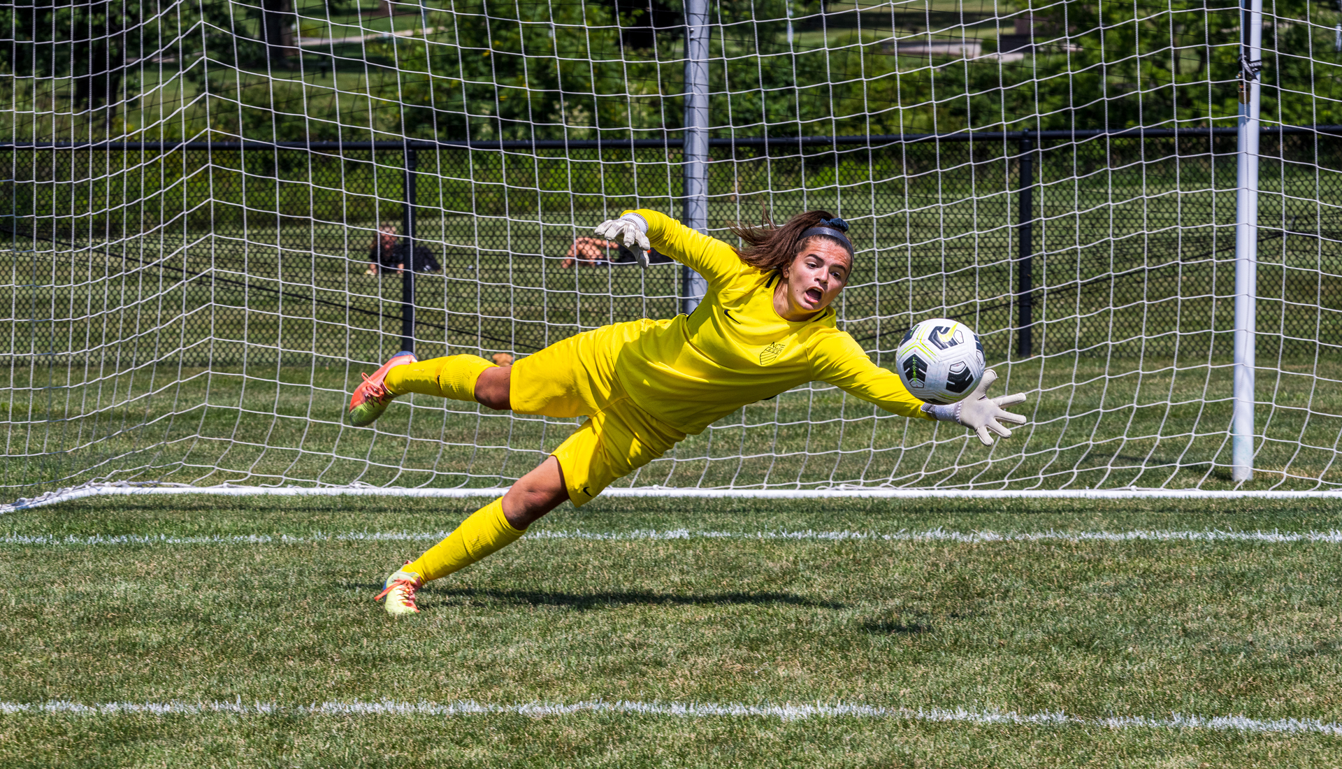 Professional goalkeeping 